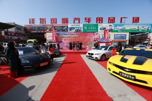 豪車美女助陣陜西第五屆汽車用品購物節暨改裝盛會